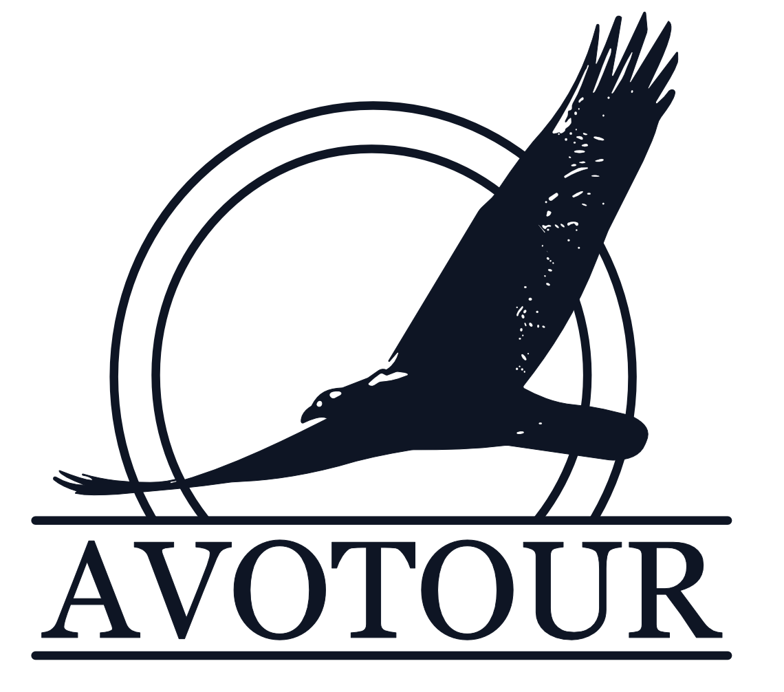 AVOTOUR
