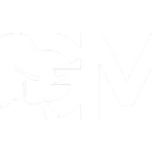 686ab2e019322eb4282e7eac_logo-GB-media